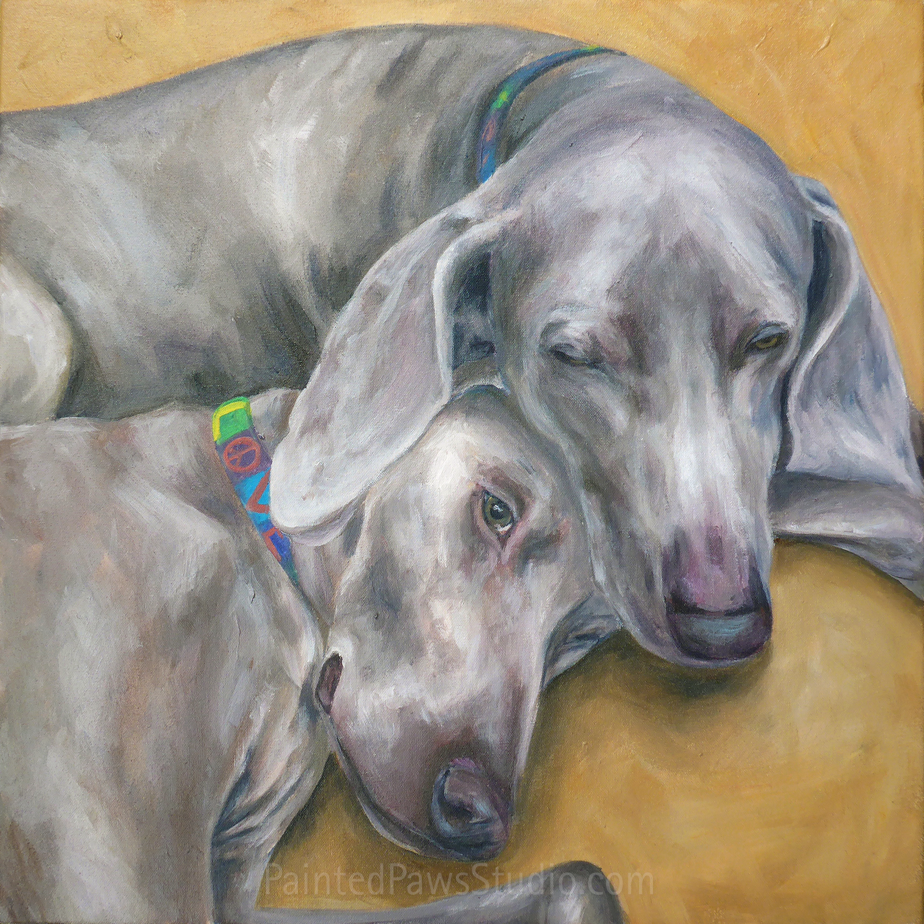 Presley & Cole - Weimie Love | 20" x 20" | standard background