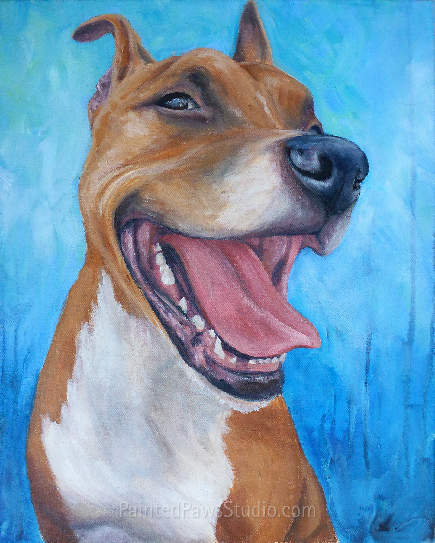 Zeus | 16" x 20" | standard background