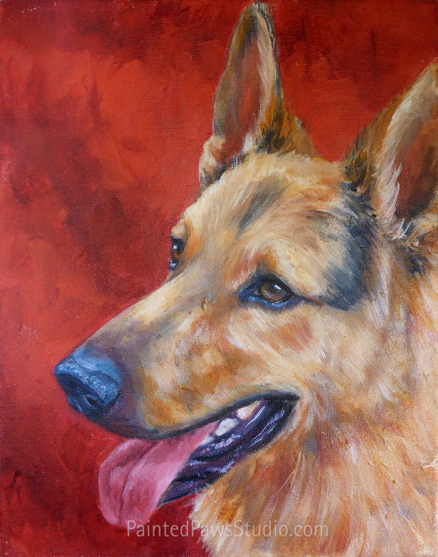 Gentle Max 2 | 11" x 14" | standard background