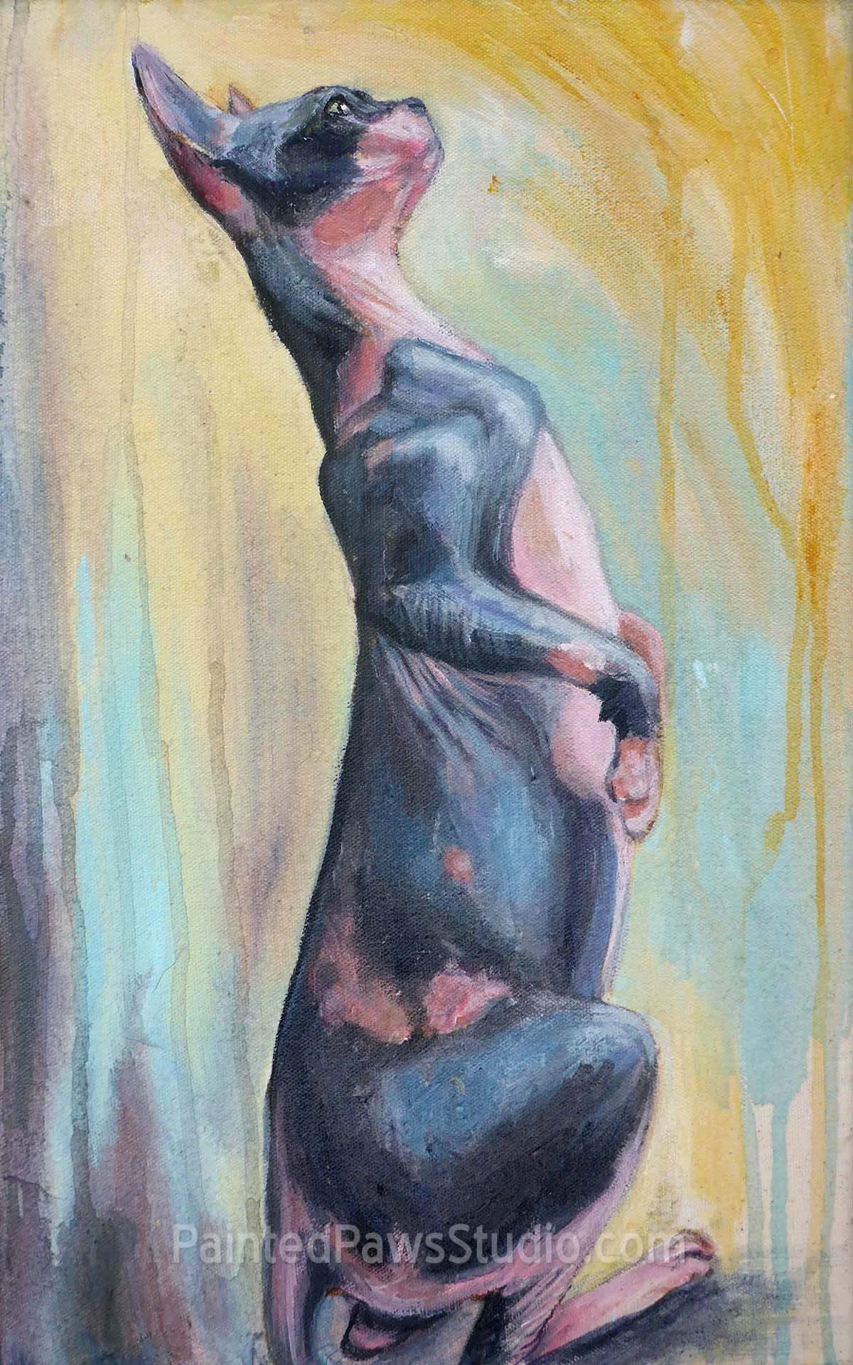 Penny | 10" x 16"  | standard background