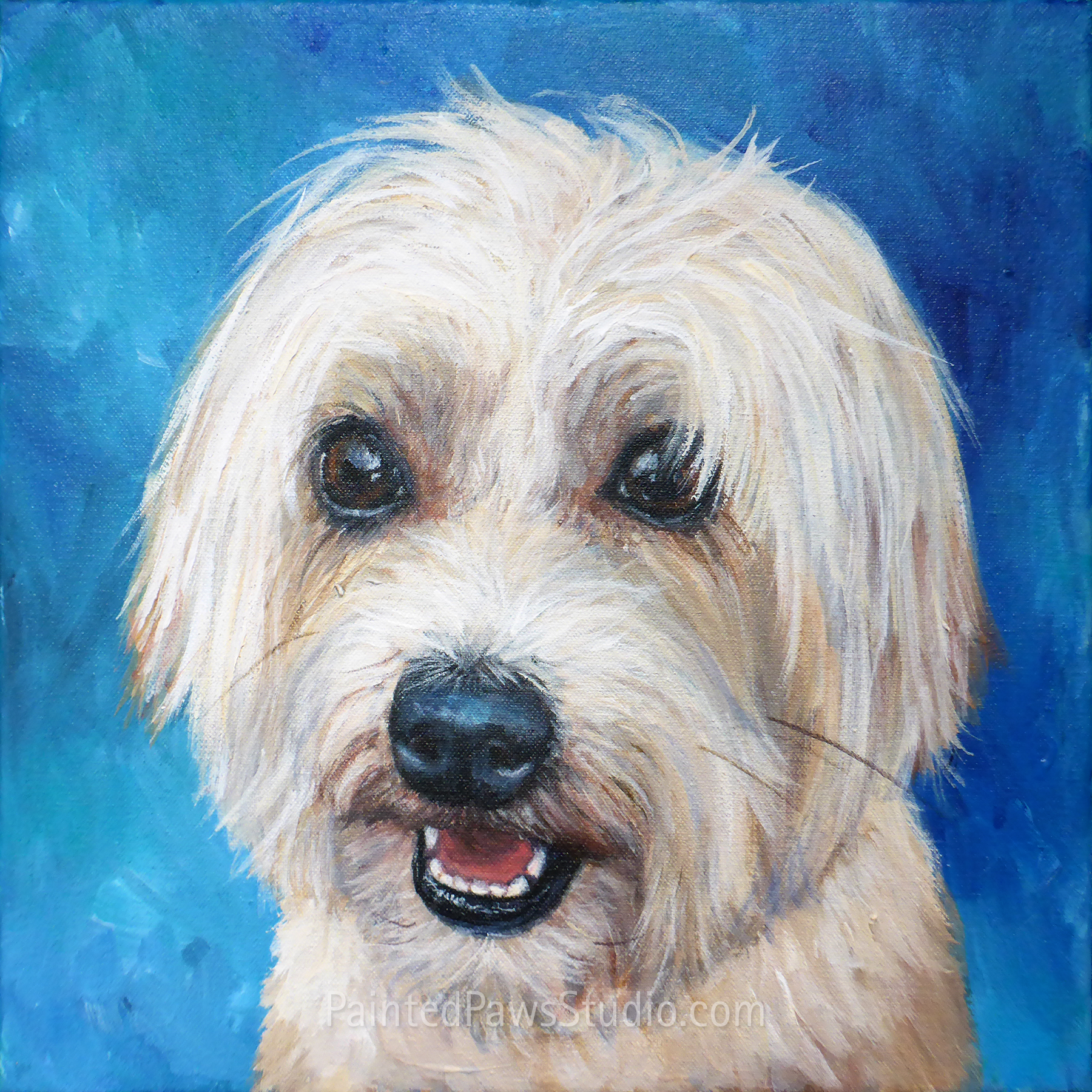 Cully | 12" x 12" | standard background