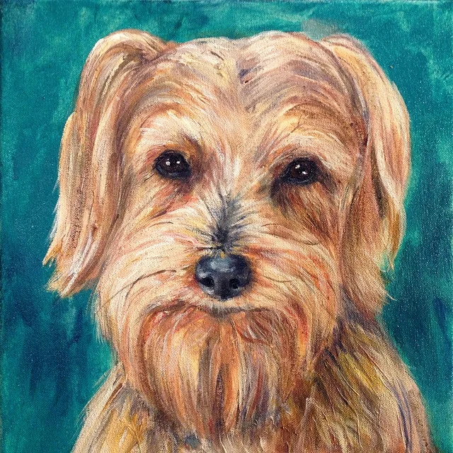 Sebastion | 12" x 12" | standard background