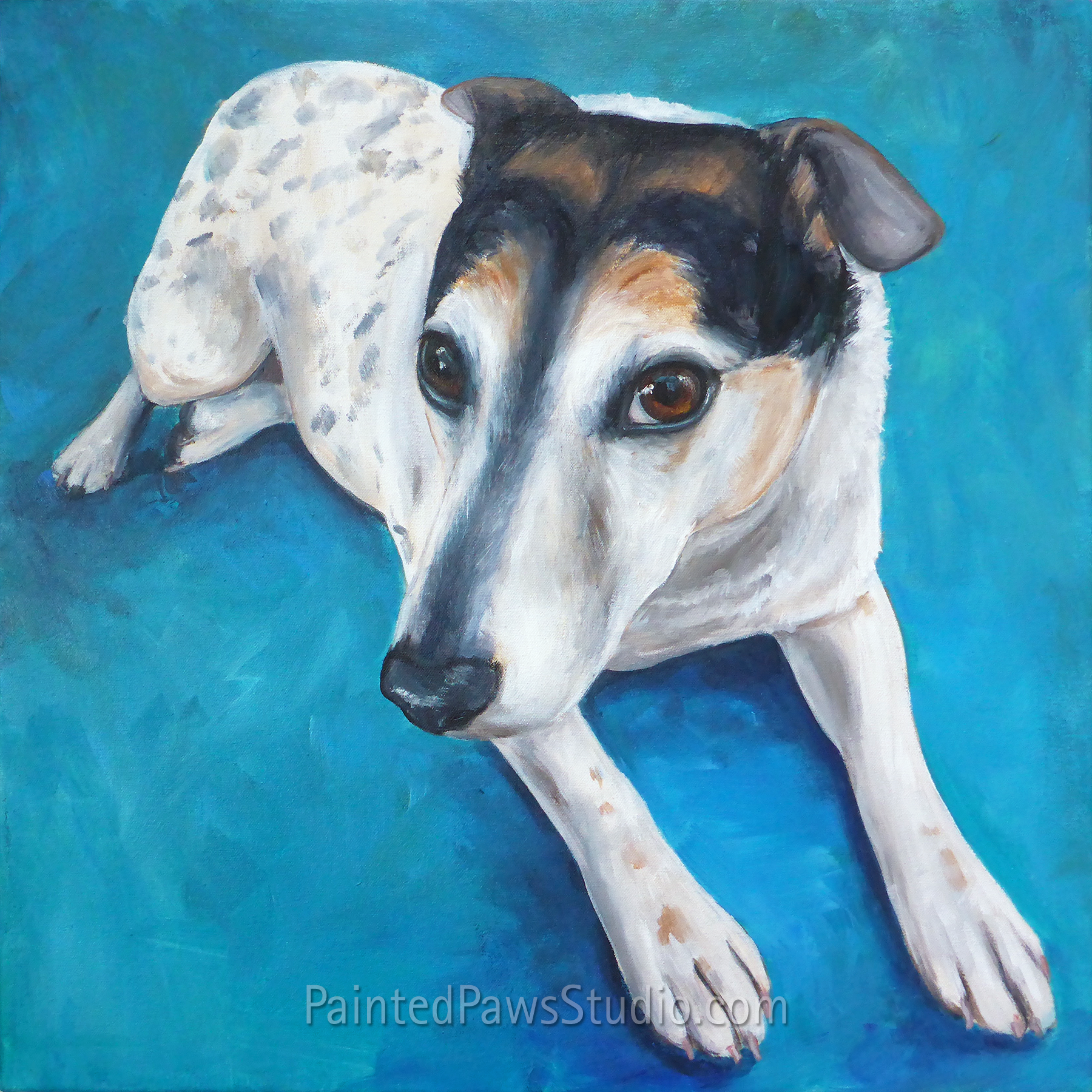 Cosmo | 20" x 20" | standard background