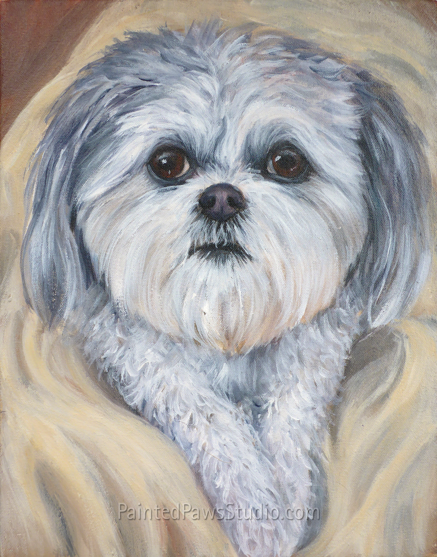 Sugar | 11" x 14" | standard background