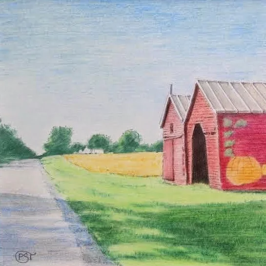 Rt 11 Red Barns.jpg