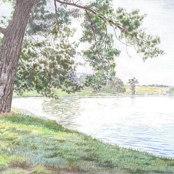 Silver Mill Lake.jpg