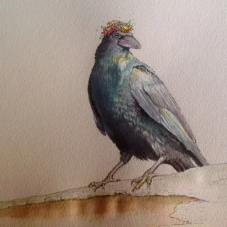 crow.JPG