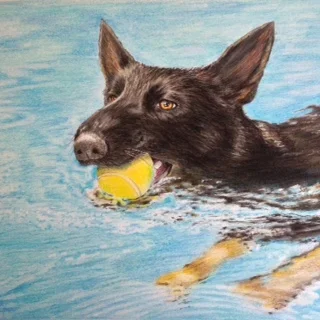 dog in pool.JPG