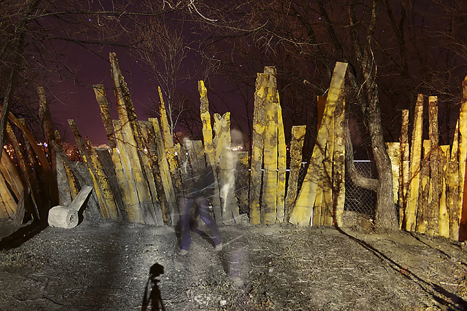 fence_shannon2.jpg