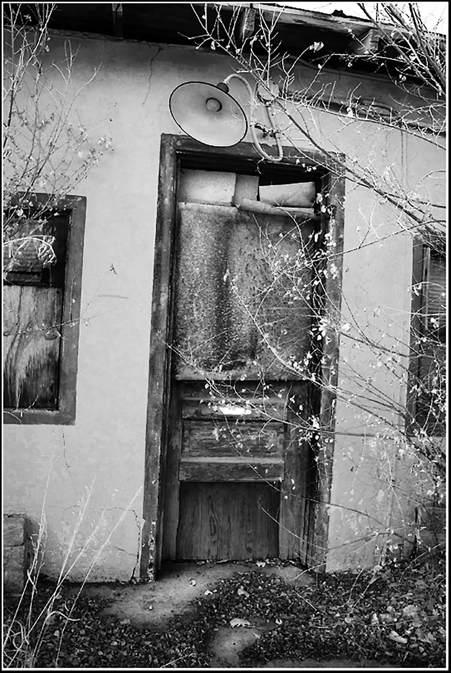 Sara_Lornitzo-b&w4 copy.jpg