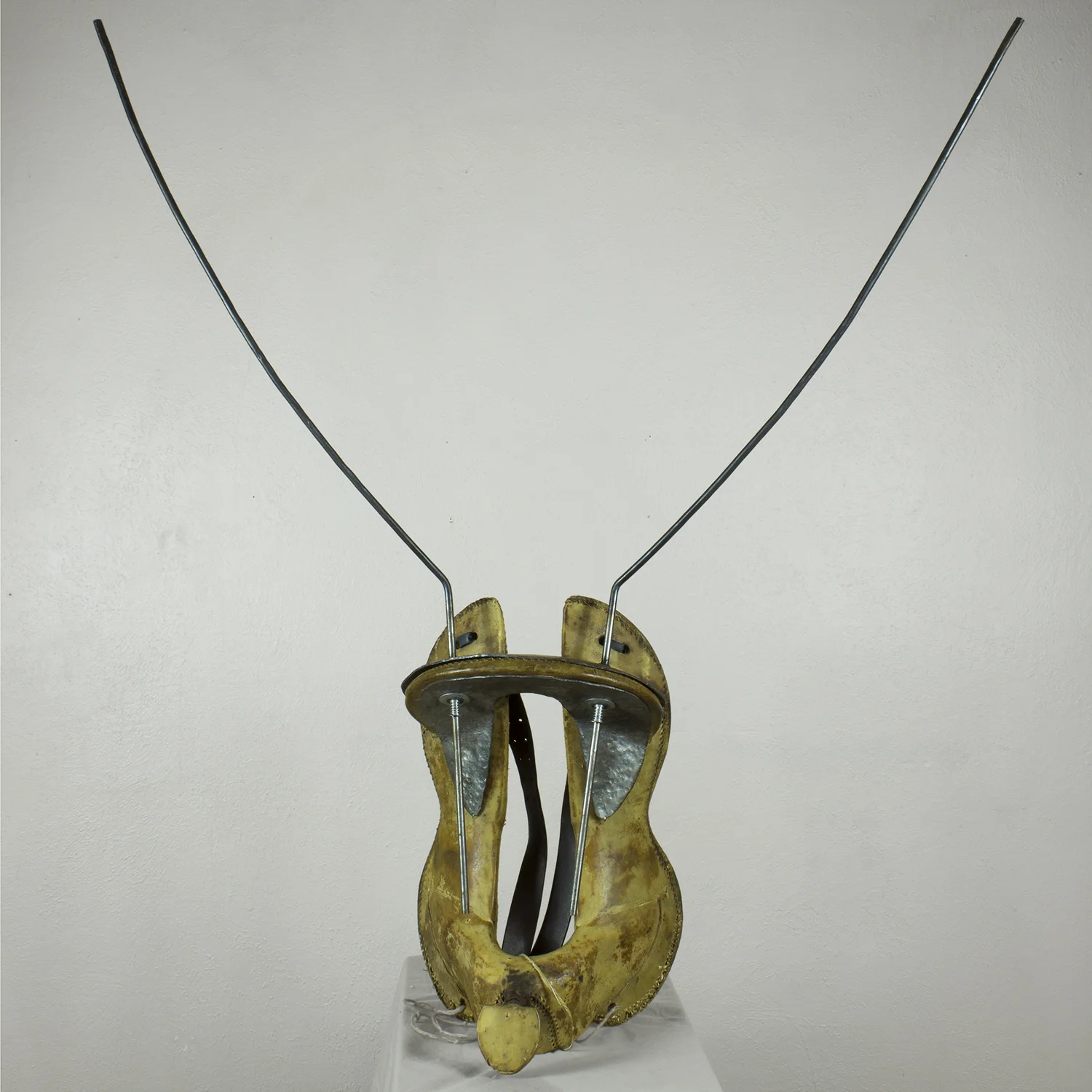 Sculpture_Saddle Bug_Back view.jpg