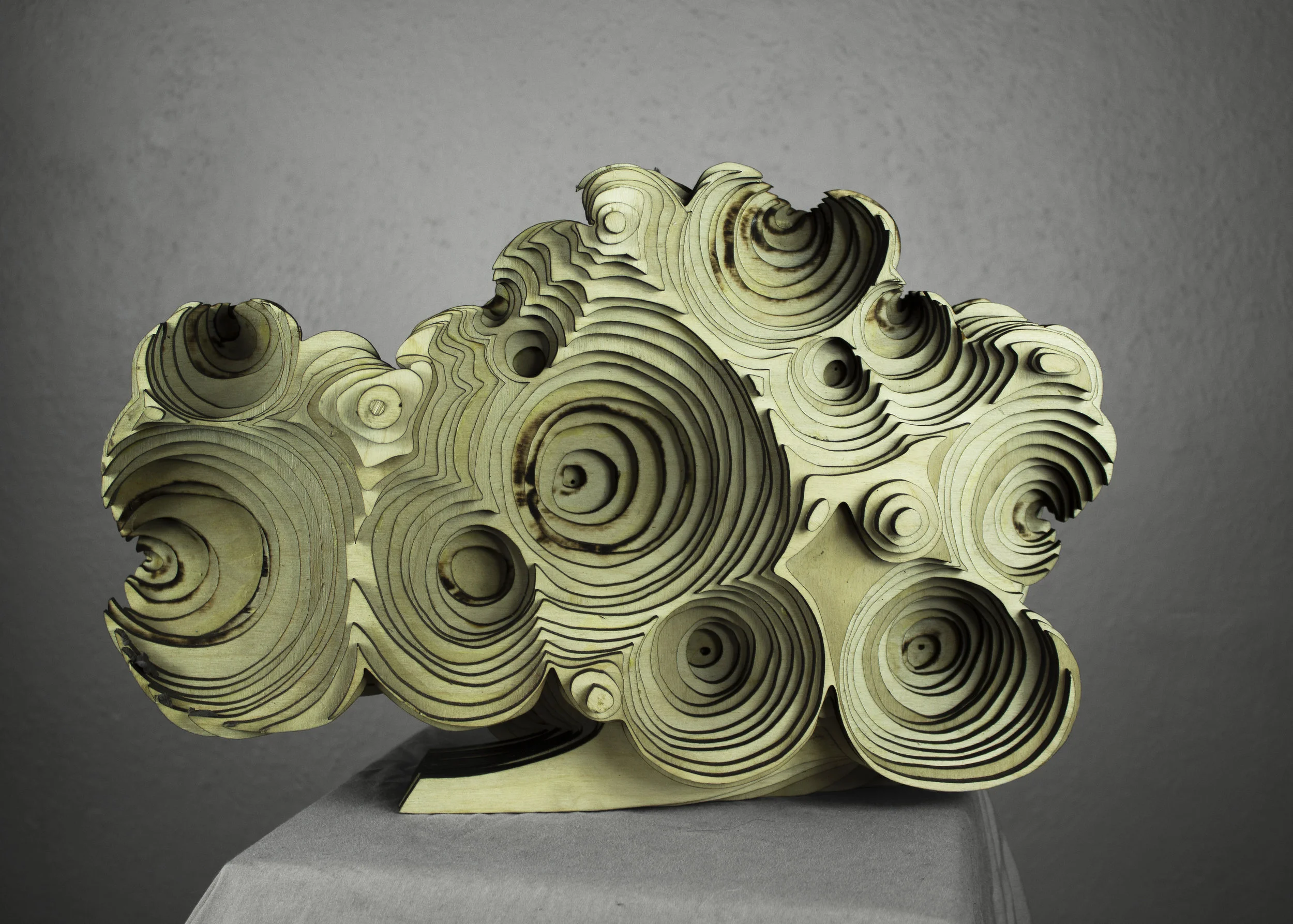 Sculpture_Laser cut wood_tidepools.jpg