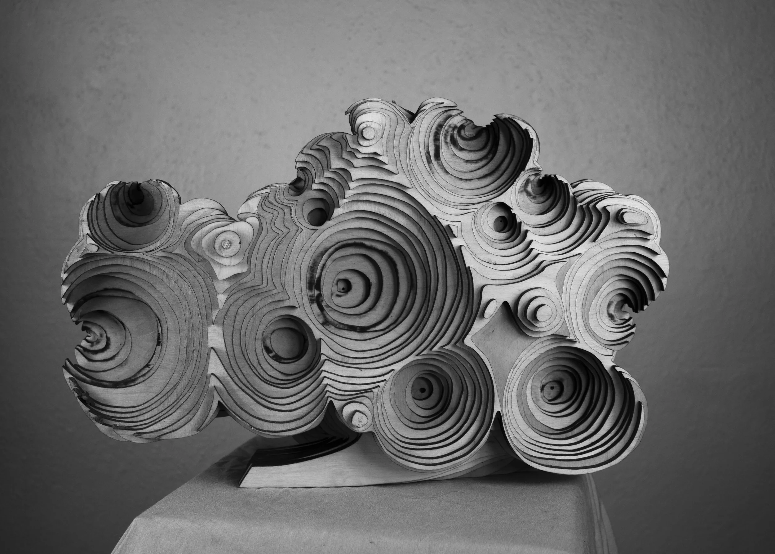 Sculpture_Laser cut wood_tidepools_b&w.jpg