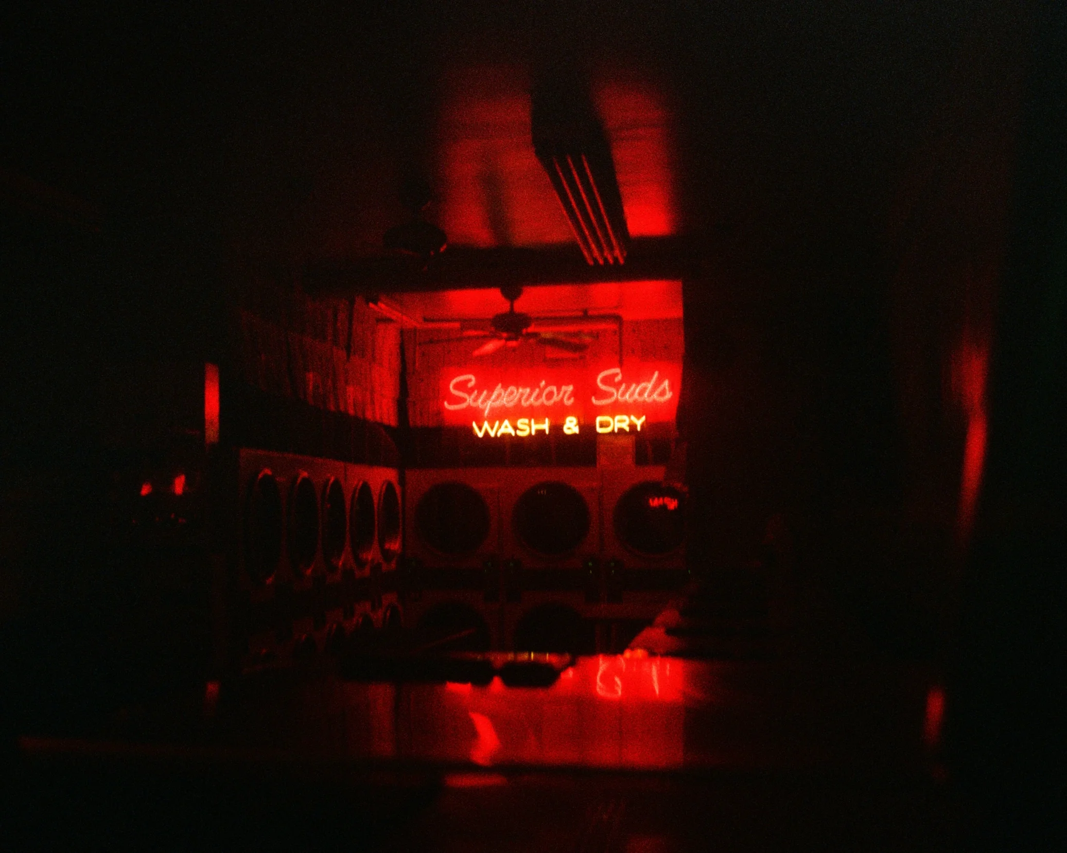 35490008.JPG