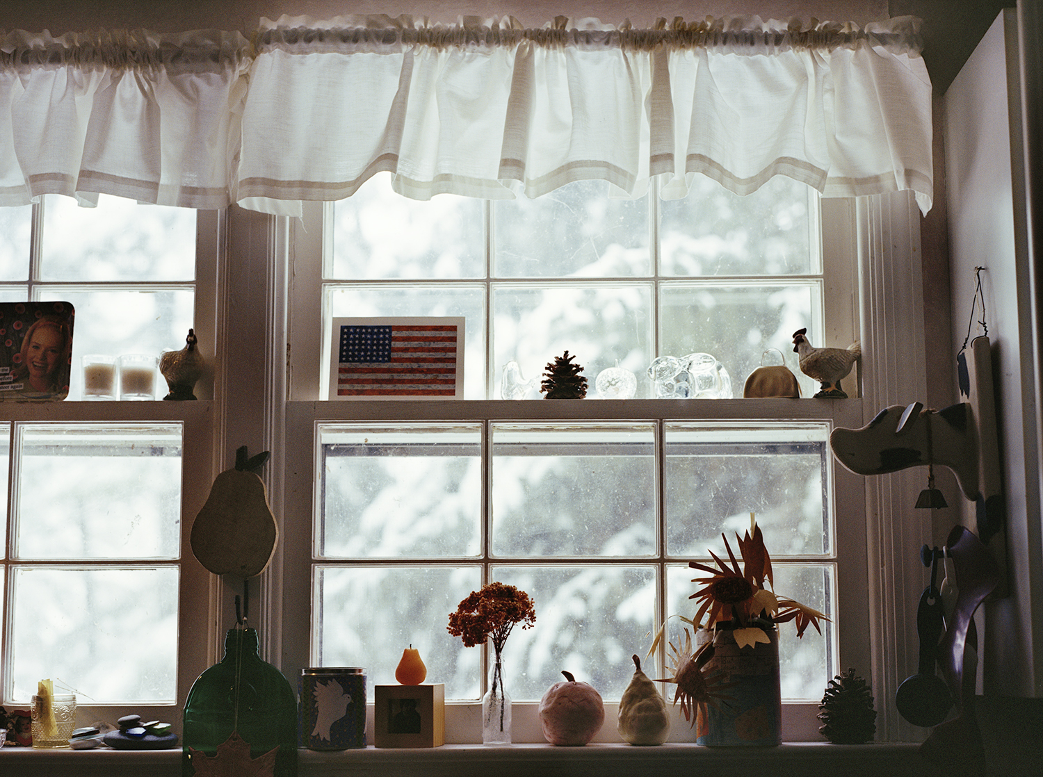 window.jpg