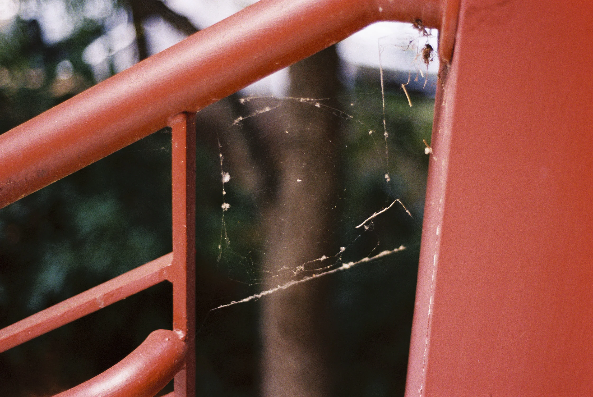 55264RLnug120611-R1-019.jpg