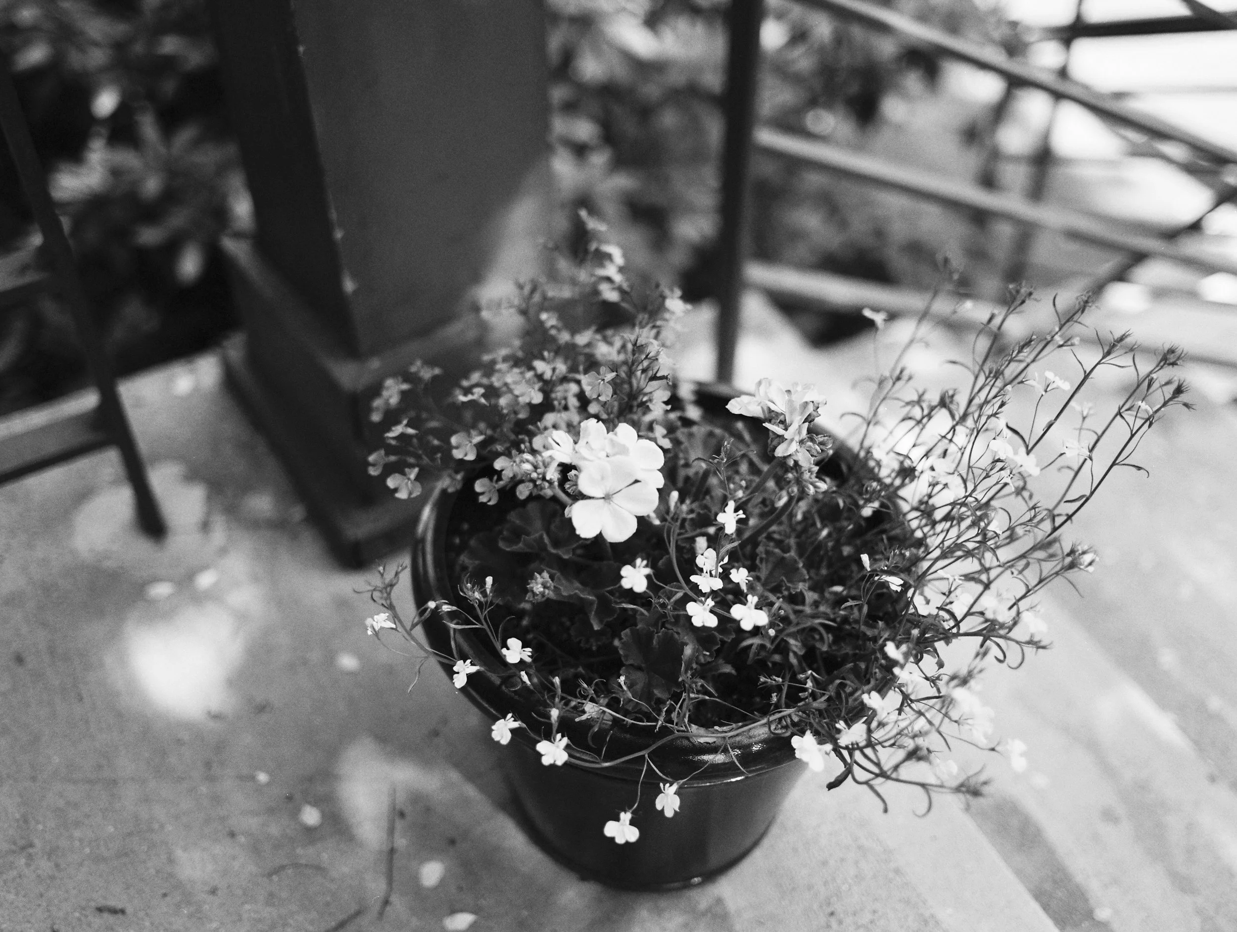 76262MMnug072801-R1-002.jpg