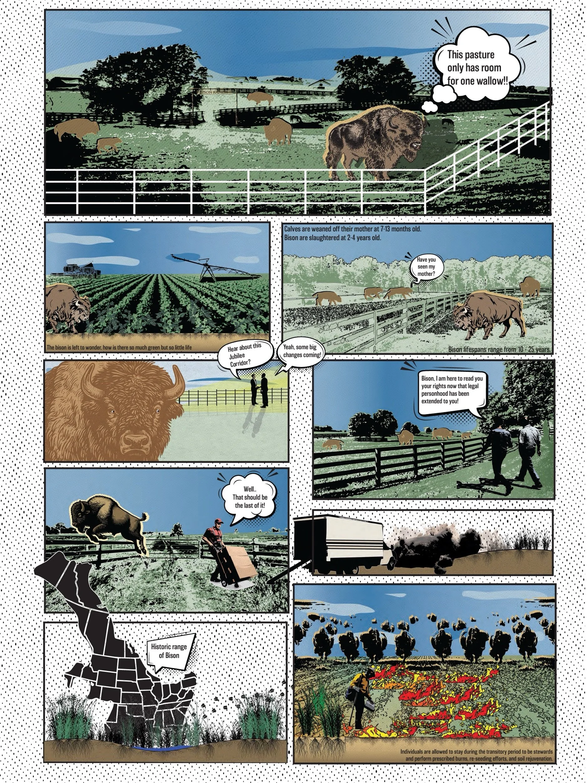 Willauer_Final_Bison_page_1.jpeg