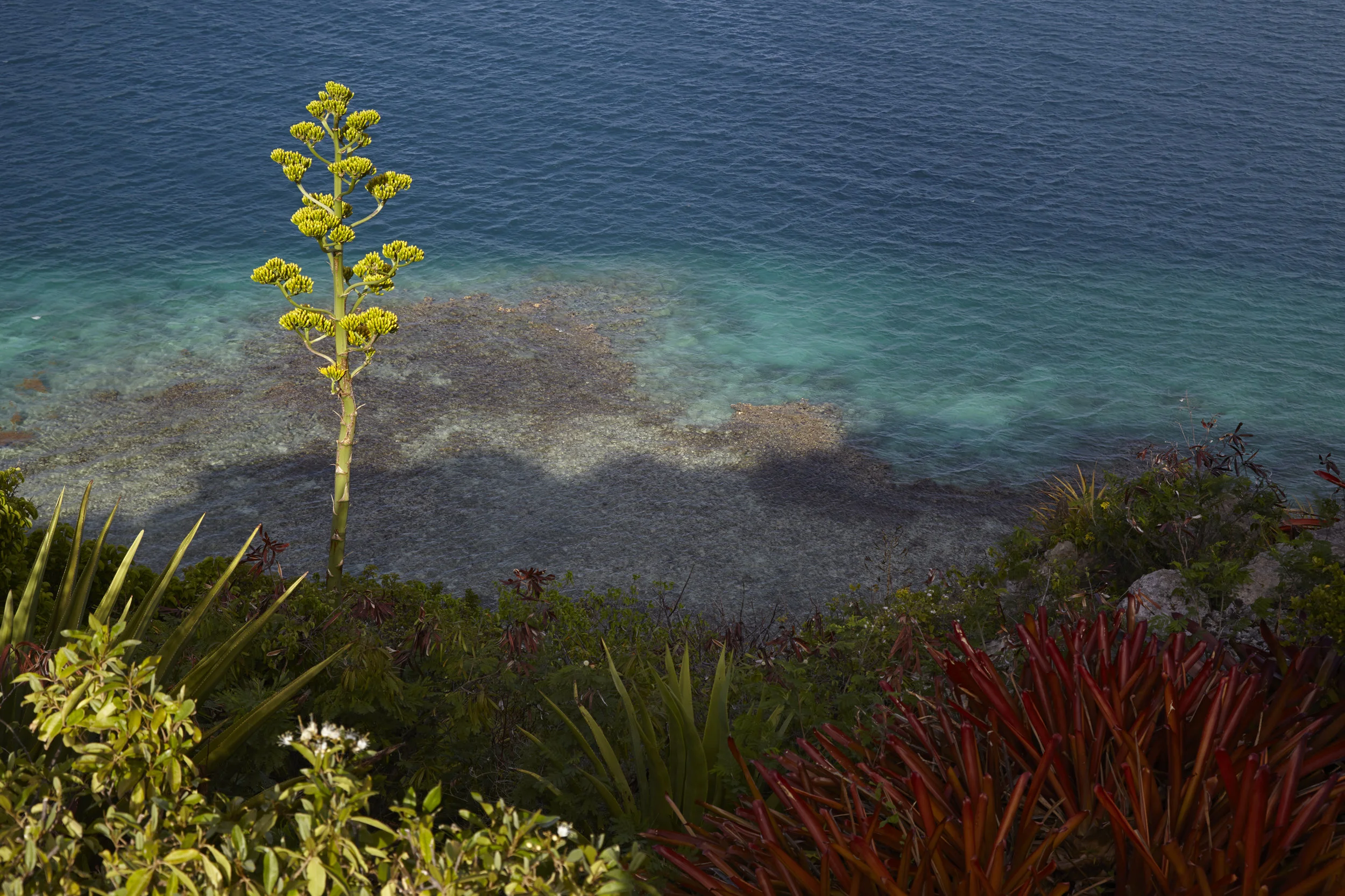 6.Antigua-View 03_072.jpg