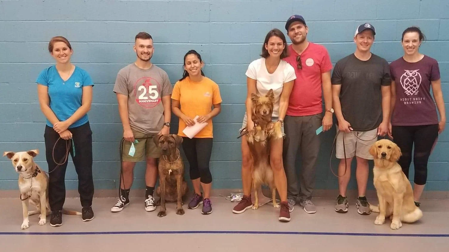 Blog Baltimore Dogworks Obedience Puppy Training Aggression Rehab Socialization