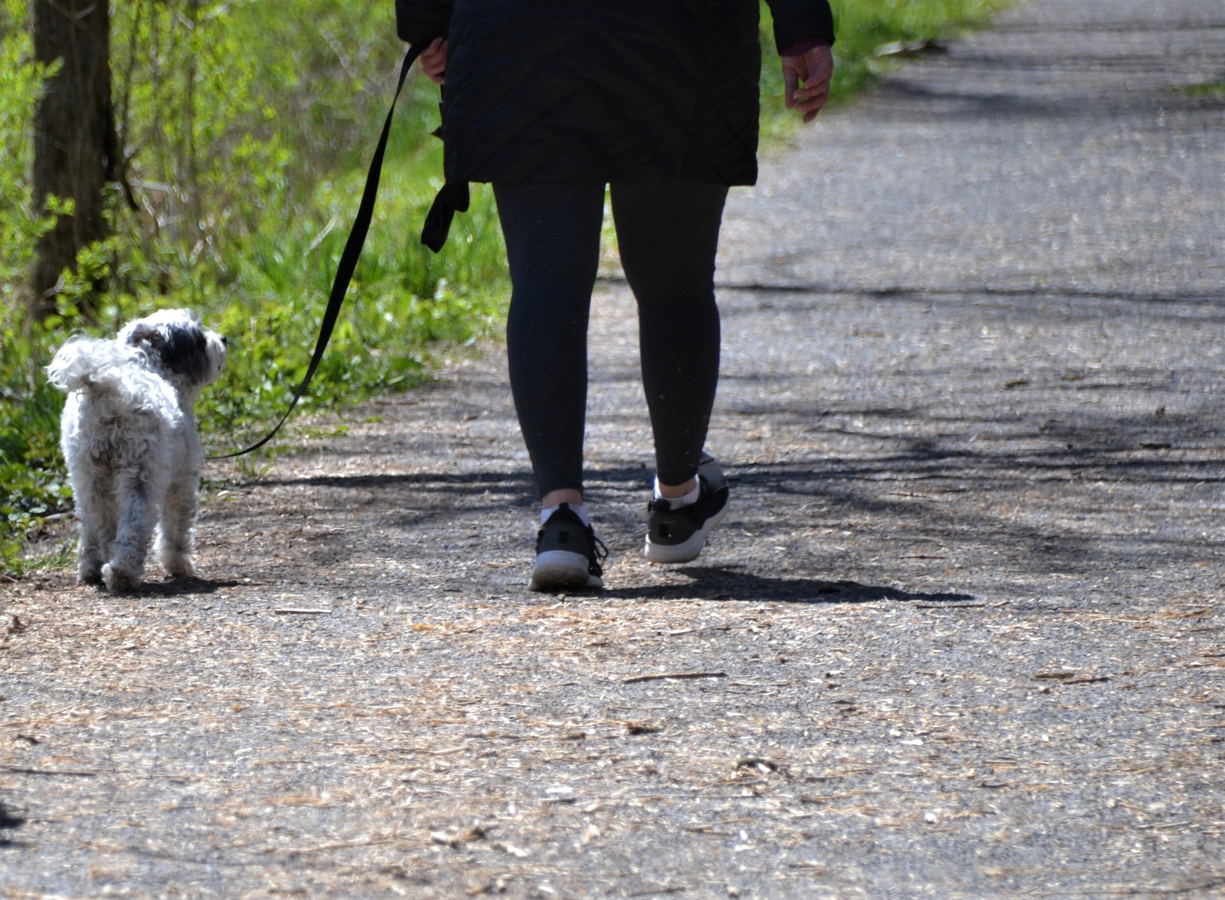 What is the meaning of Off the leash (idiom) ? - Question about English  (US)