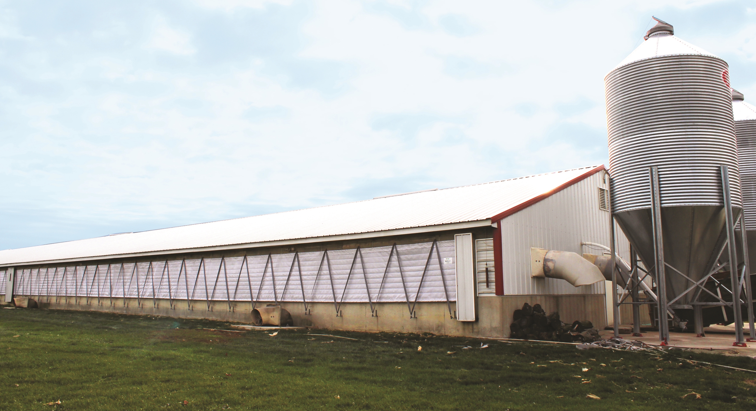 Barn Curtain Photo 1.jpg