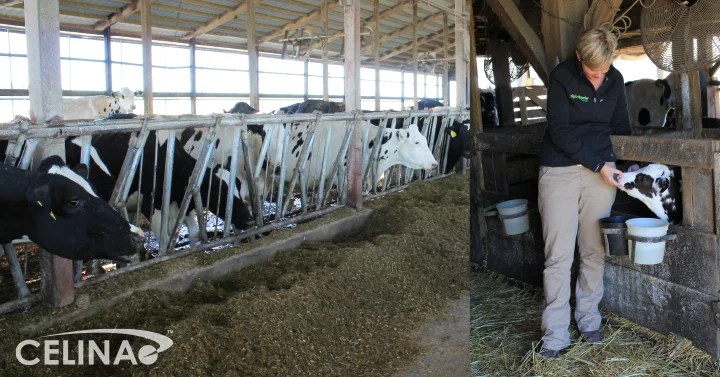 animal-health.jpg