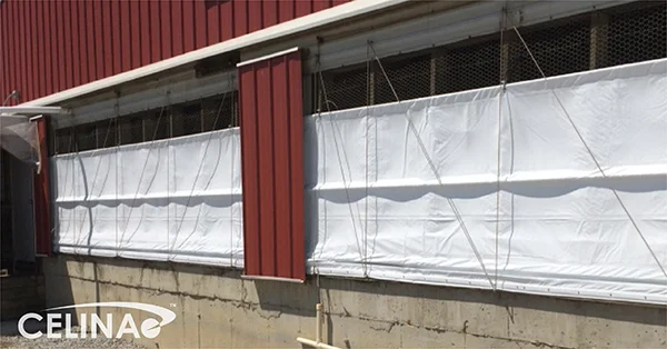 AugustWK4_tunnel_curtain_INDUSTRIES.jpg