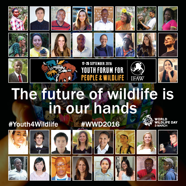 The 34 delegates selected for the Youth Forum for People and Wildlife hosted by IFAW in South Africa