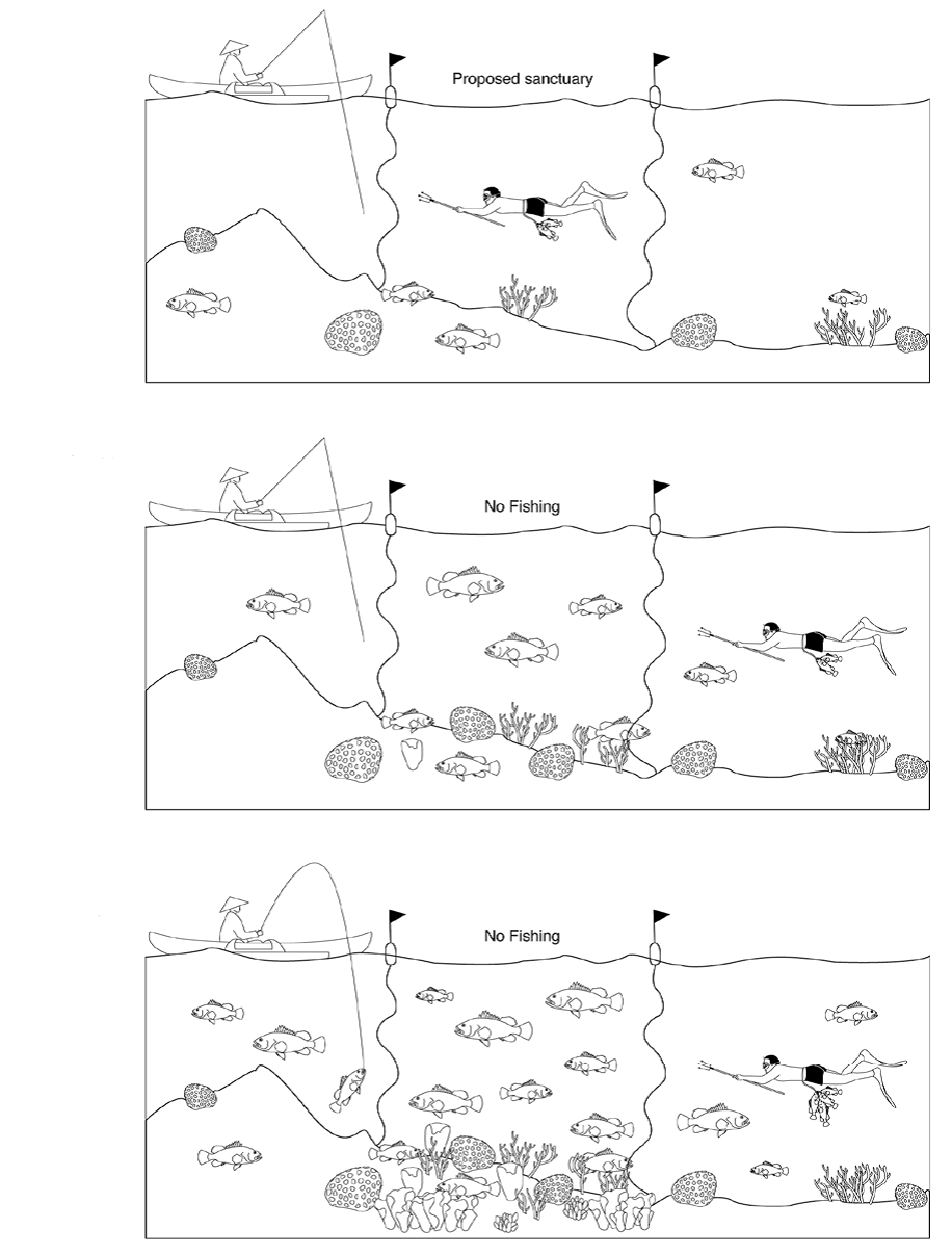 Temporary marine reserves is a simple management system. Give fish, crabs, and shrimp an area and time to reproduce and grow before harvesting!