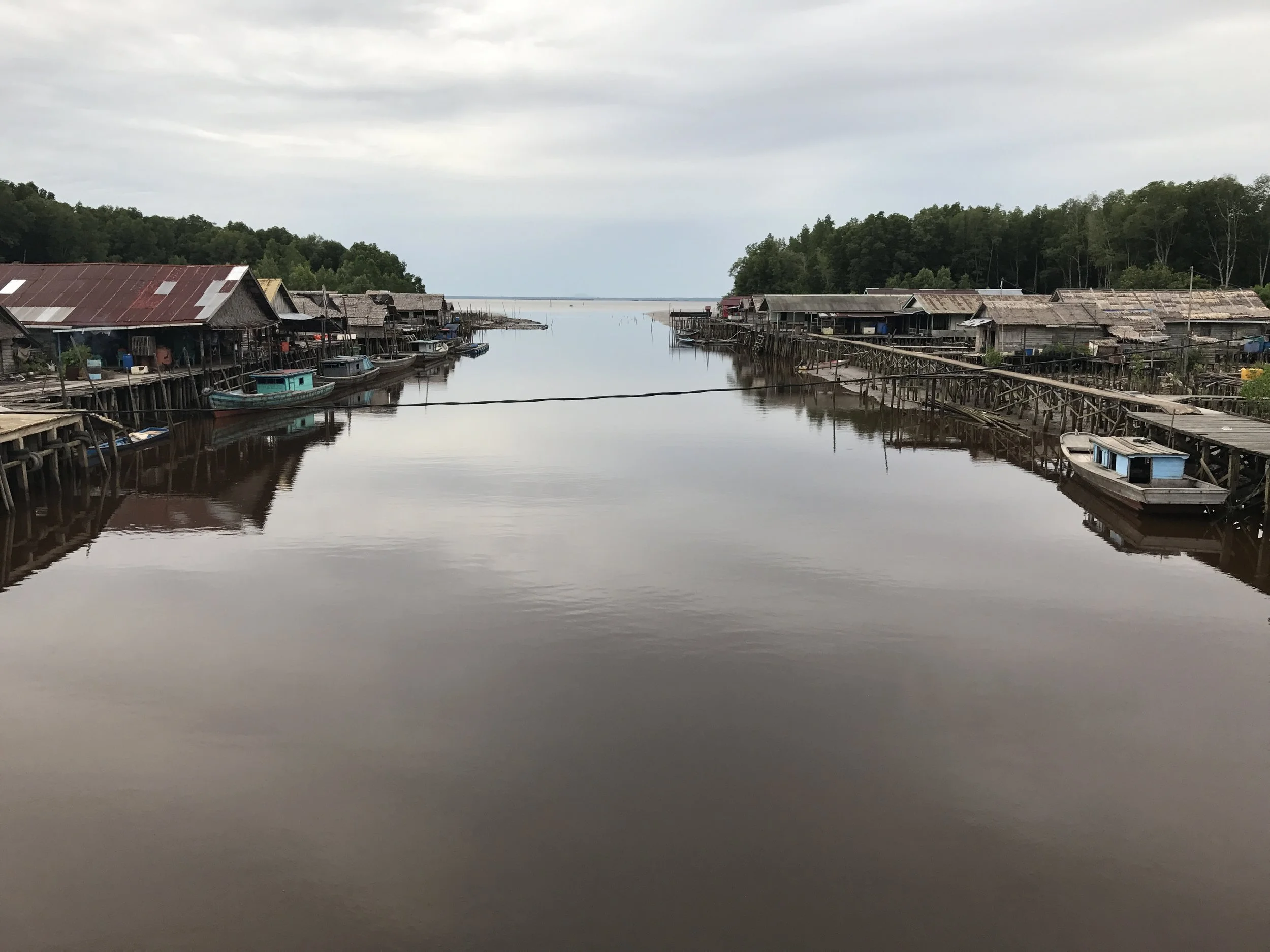 From Forest to Sea...