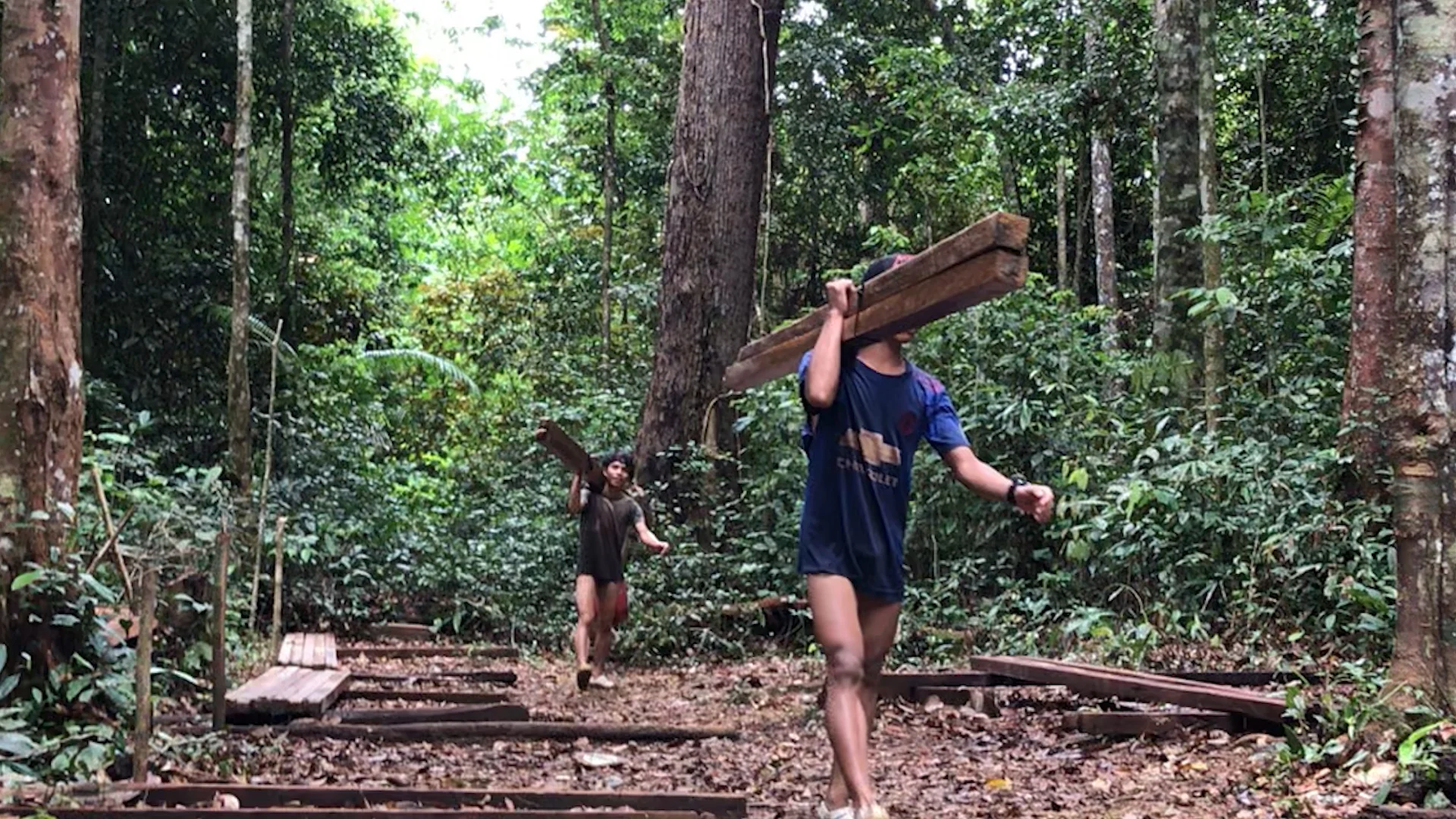 logs being carried.jpg