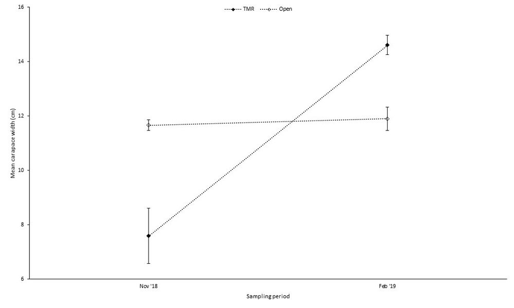 Blog Planet Indonesia