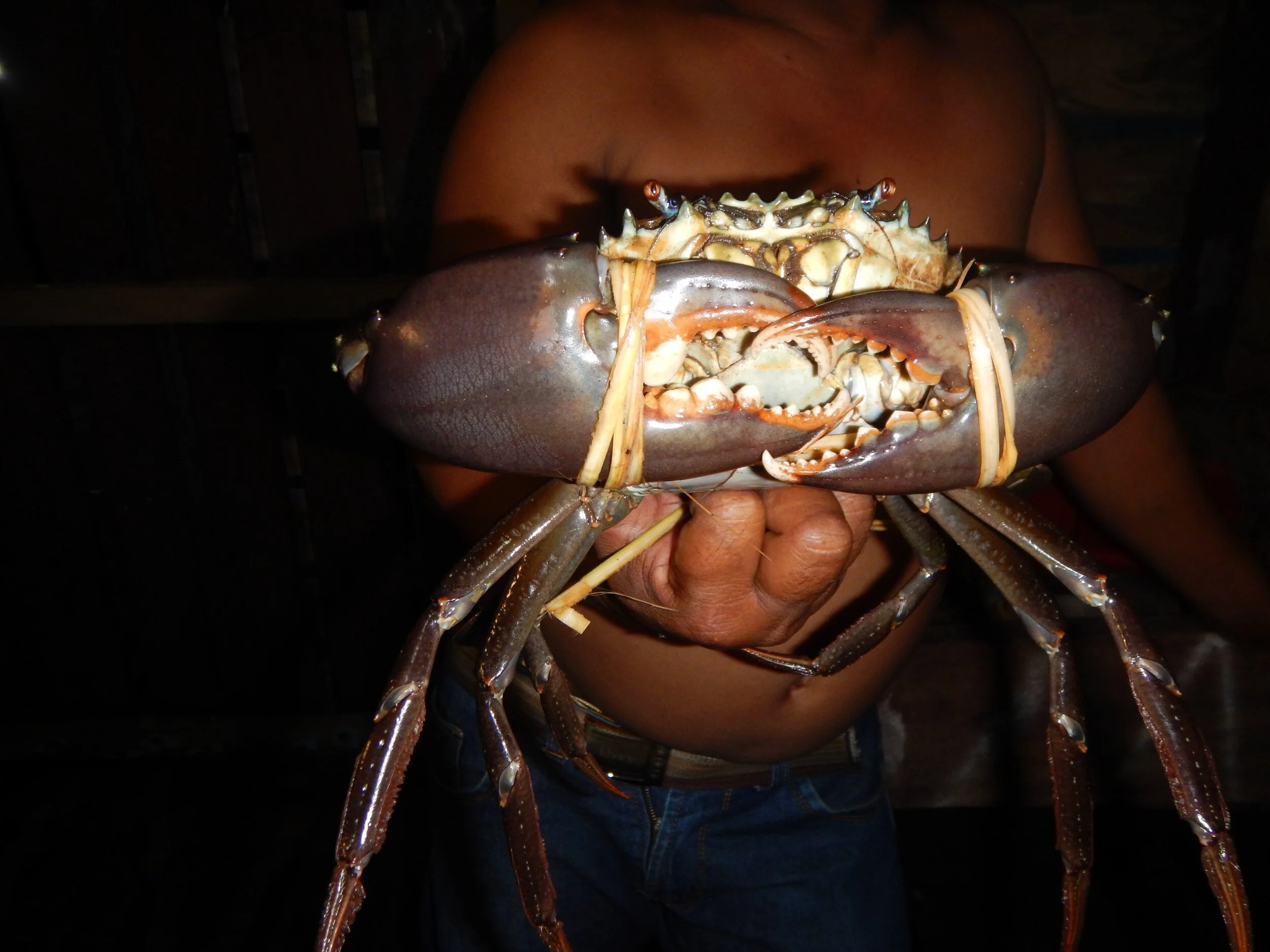 Community-led fisheries management: Reflecting on our recent temporary fishing reserve