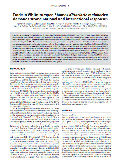 Trade in White-rumped Shamas Kittacincla malabarica demands strong national and international responses