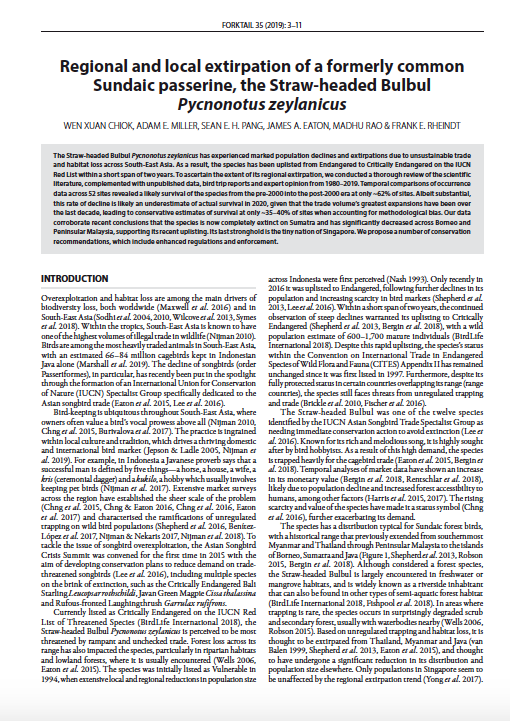 Regional and local extirpation of a formerly common Sundaic passerine, the Straw-headed Bulbul Pycnonotus zeylanicus