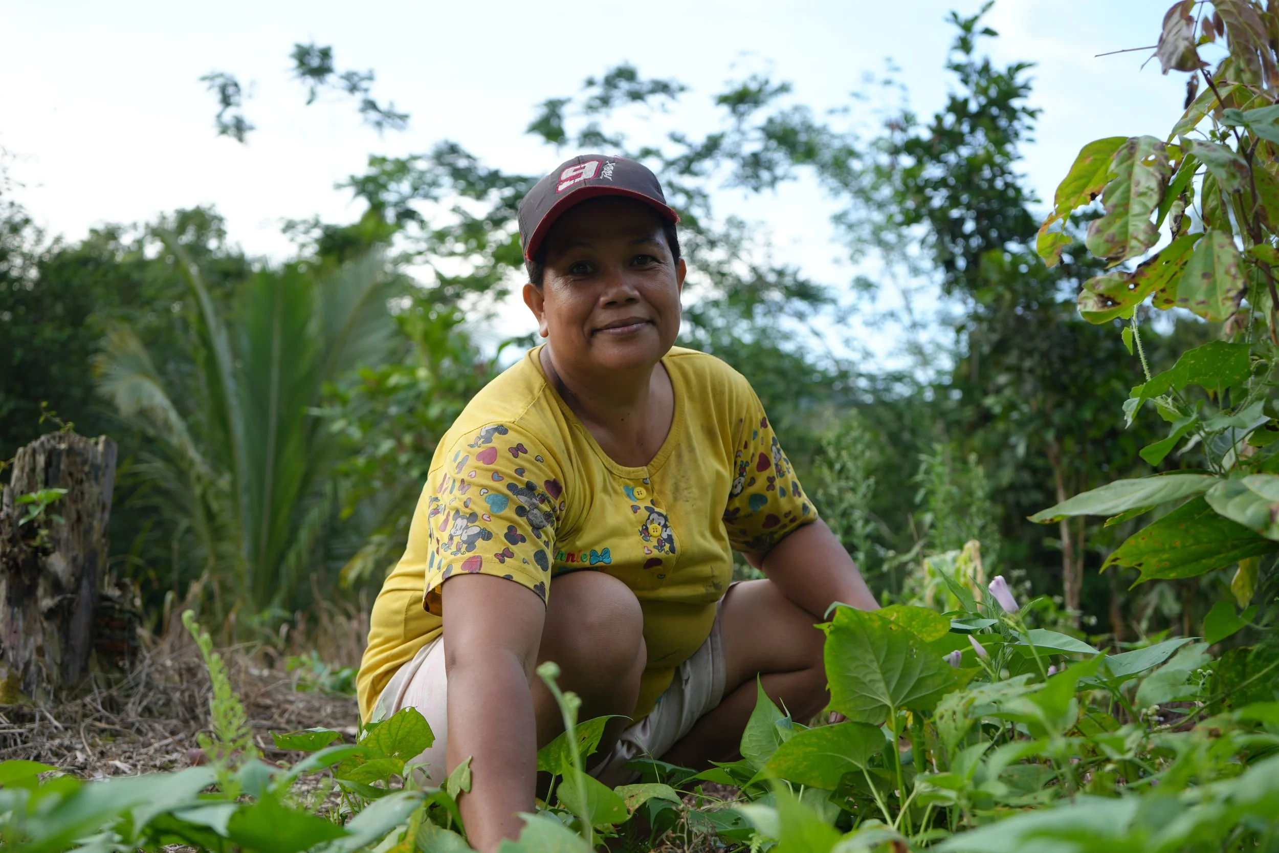 Community-Led Initiatives: An Emerging Sector or a Rebranding of the Past?