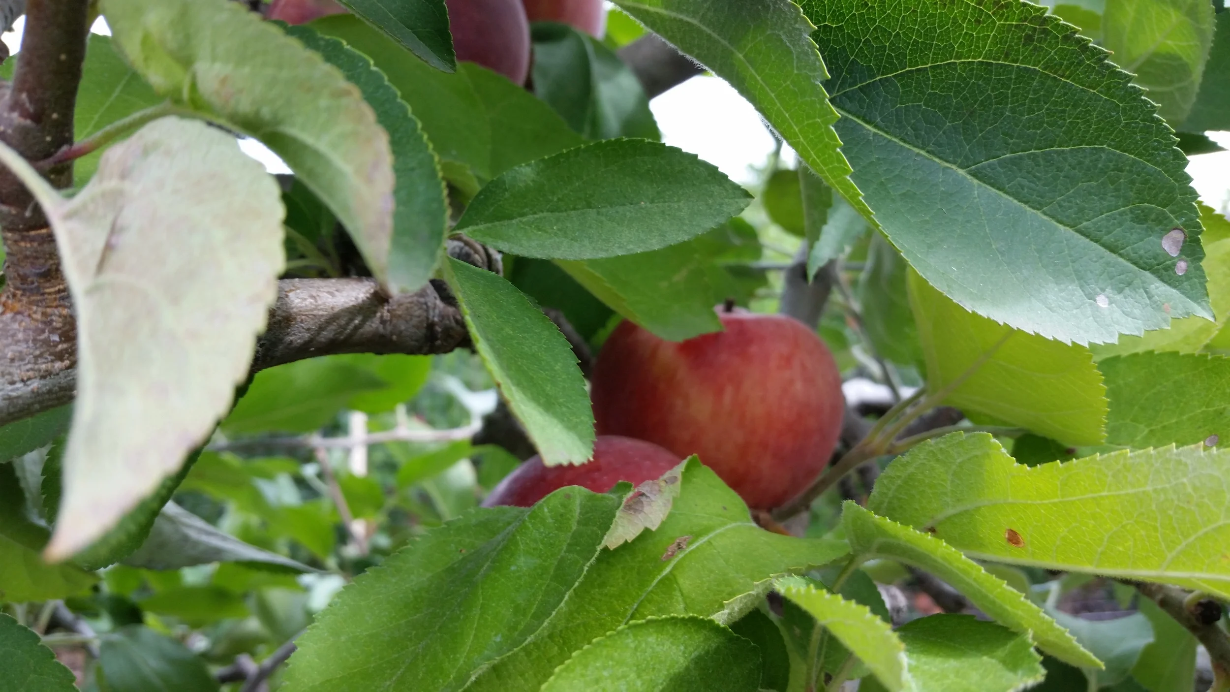 Well THAT Went Fast.....