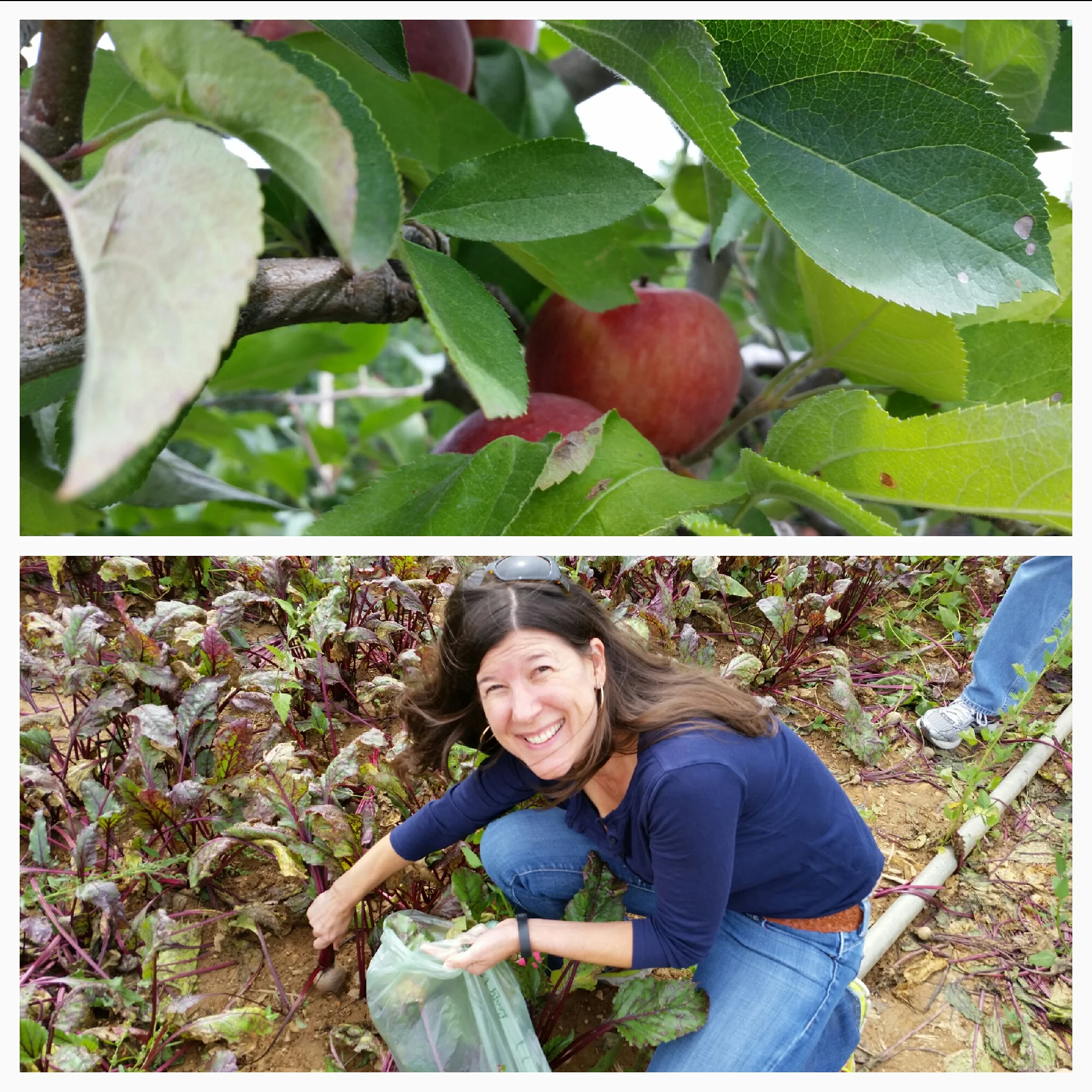 Are You Throwing Veggies and Money Down the Drain?