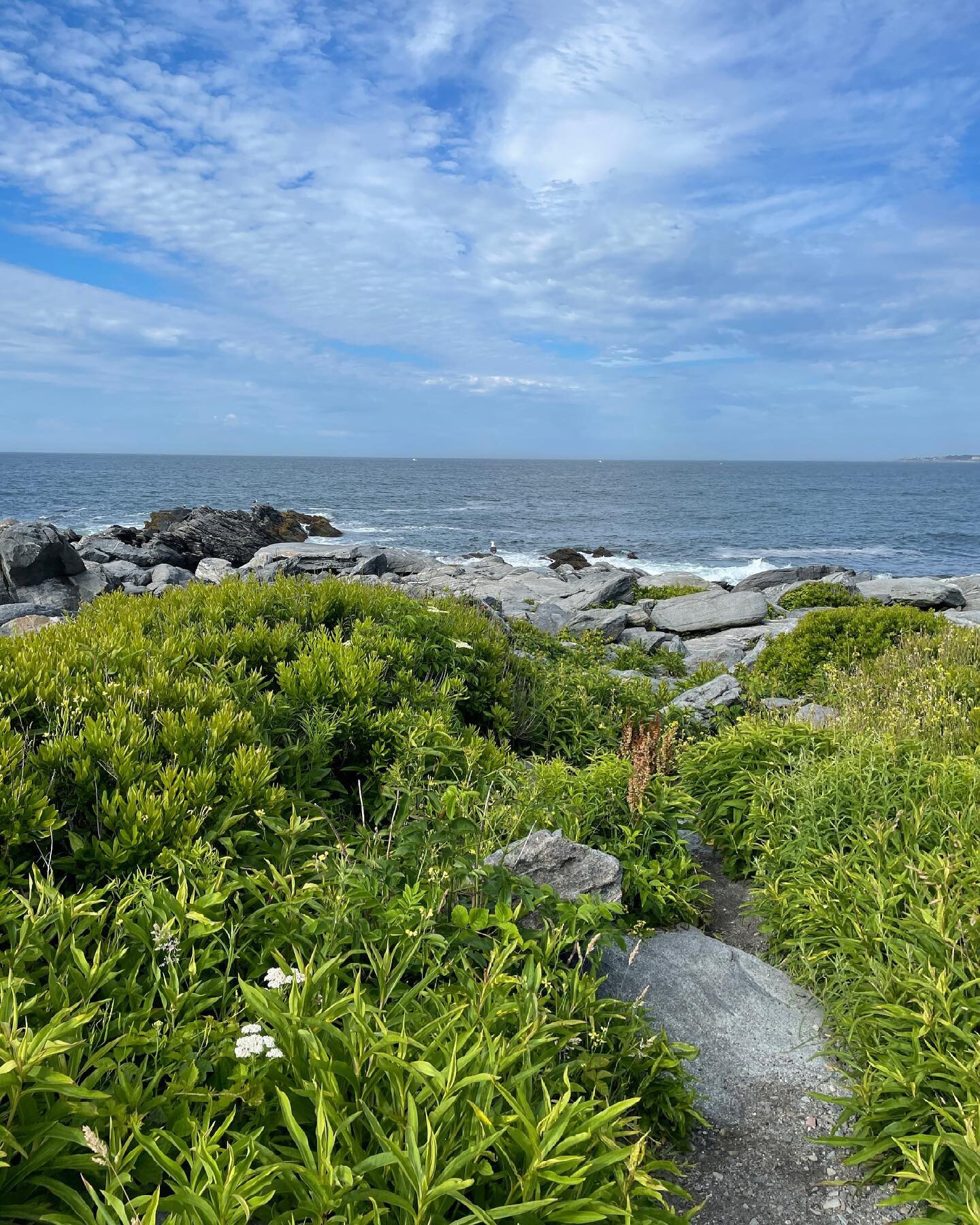 🌾 Back home &amp; it feels so good! 
#newportri #rhodeislandlife #thewayoftheisland