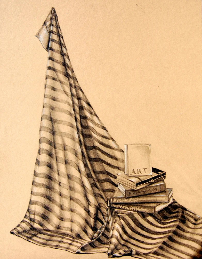  Observational graphite drawing on Canson paper 