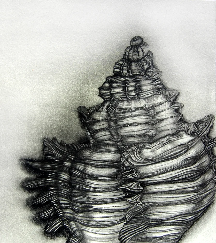  Graphite drawing from life 