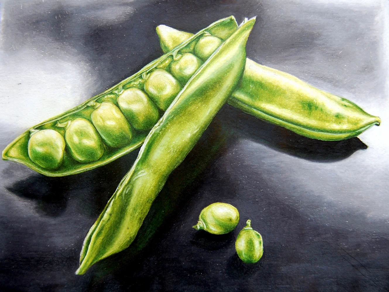  Colored Pencil observational drawing on paper 