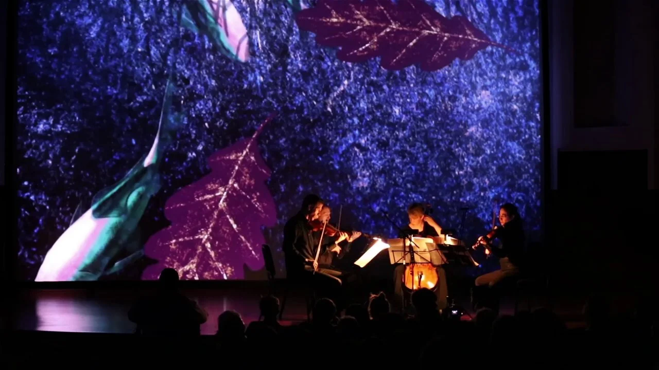 Measures & Frames ARCADIANA Live Excerpts