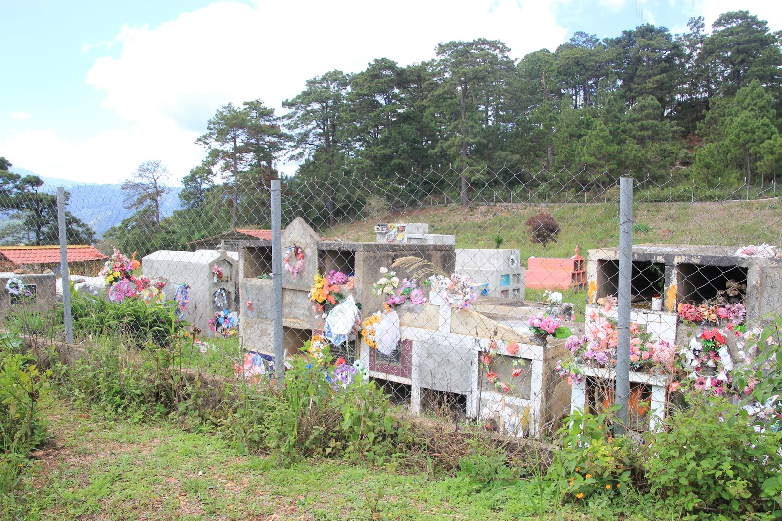 Photo caption: Community cemetery