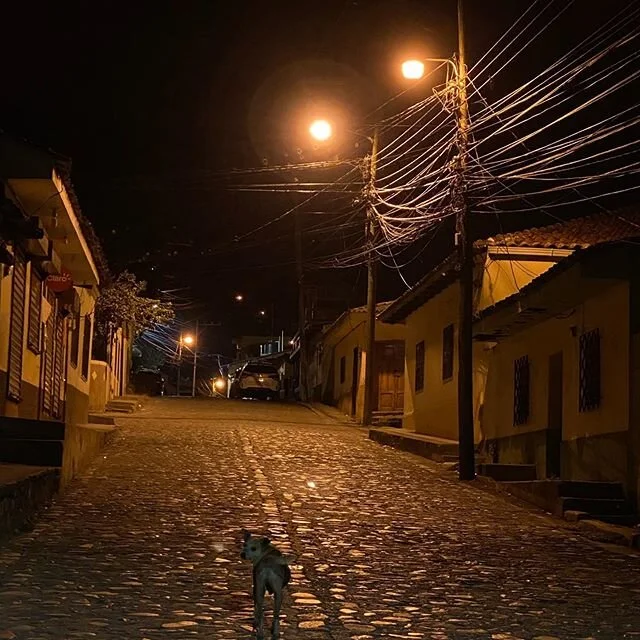 Doggie model. Copan Ruinas, western #Honduras.