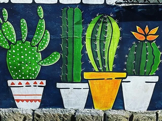 Even the walls are green in Copan, Honduras