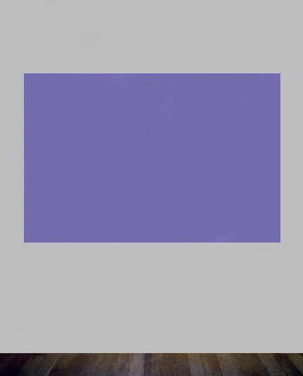 Bluff (Congo Blue) , 2001 Fluorescent and tungsten light