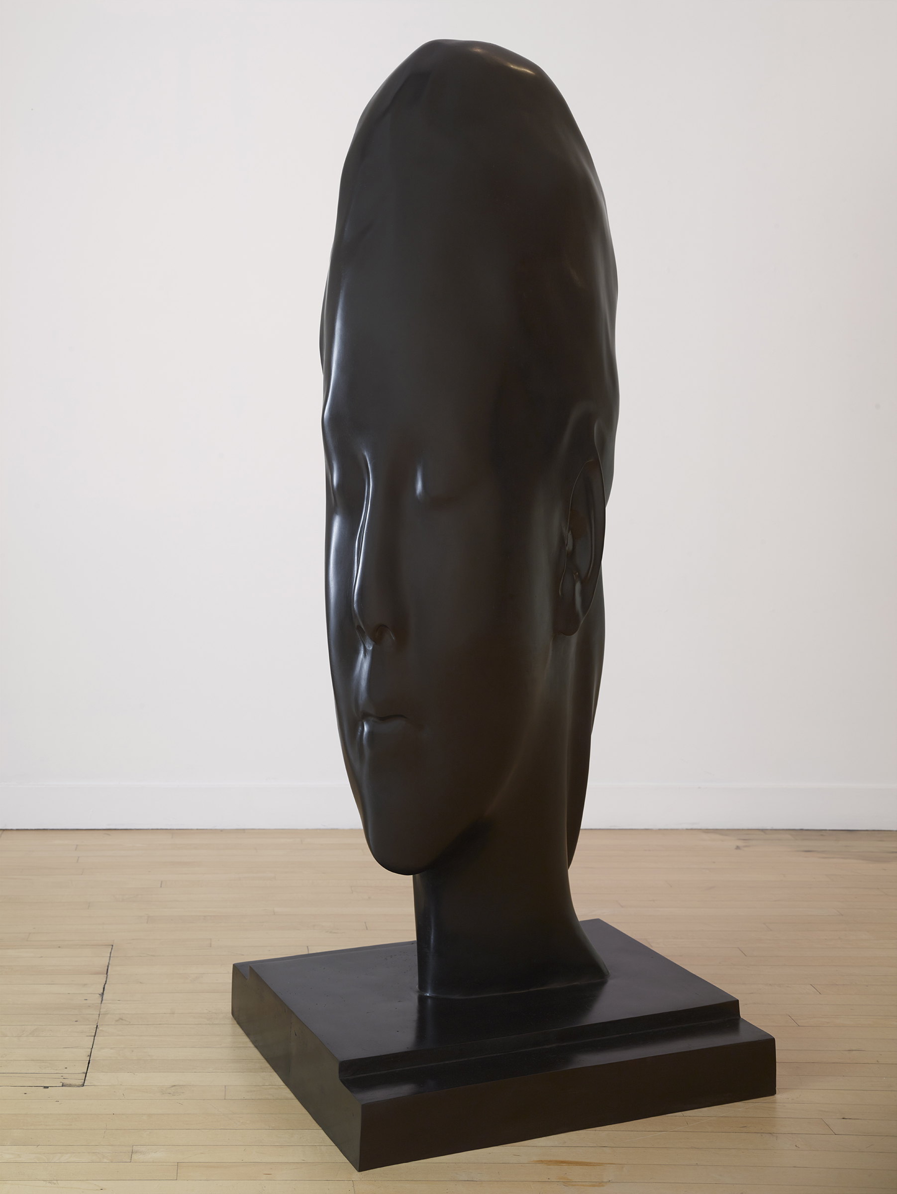 150917_HainesGallery_JaumePlensa_RDH_230.jpg