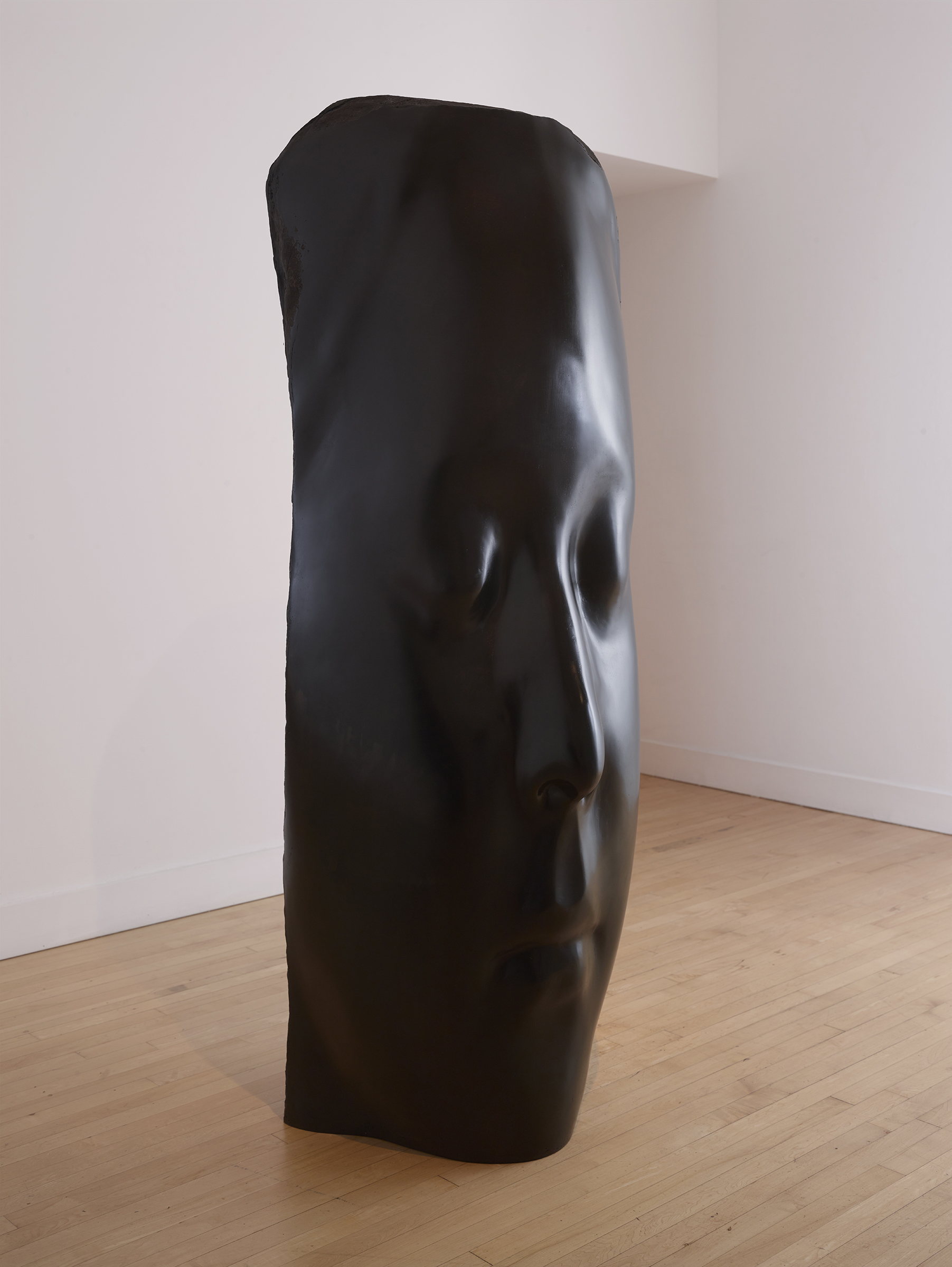 150917_HainesGallery_JaumePlensa_RDH_242.jpg